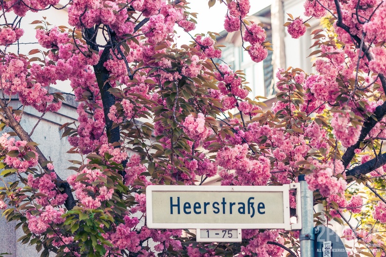 2ppm-7846-250411082947-5